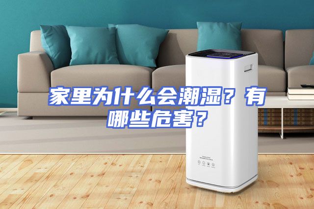家里为什么会潮湿？有哪些危害？