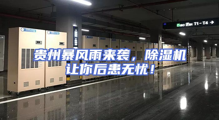 贵州暴风雨来袭,除湿机让你后患无忧!