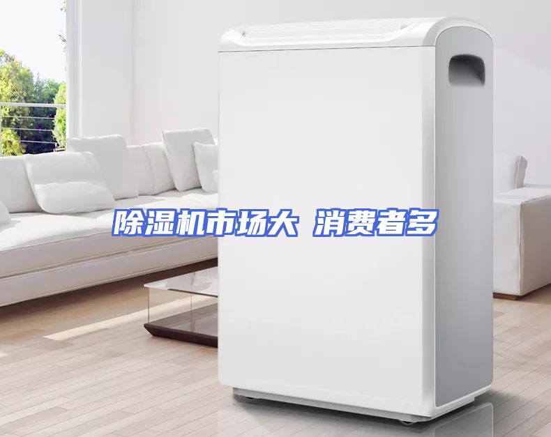 除湿机市场大≠消费者多