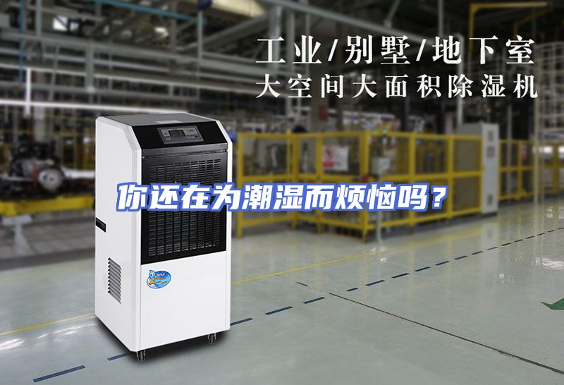 你还在为潮湿而烦恼吗？