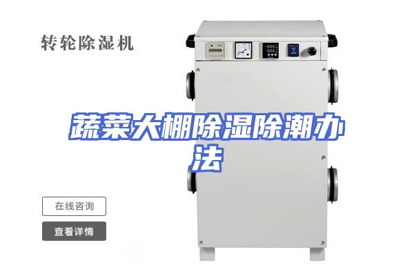 蔬菜大棚除湿除潮办法