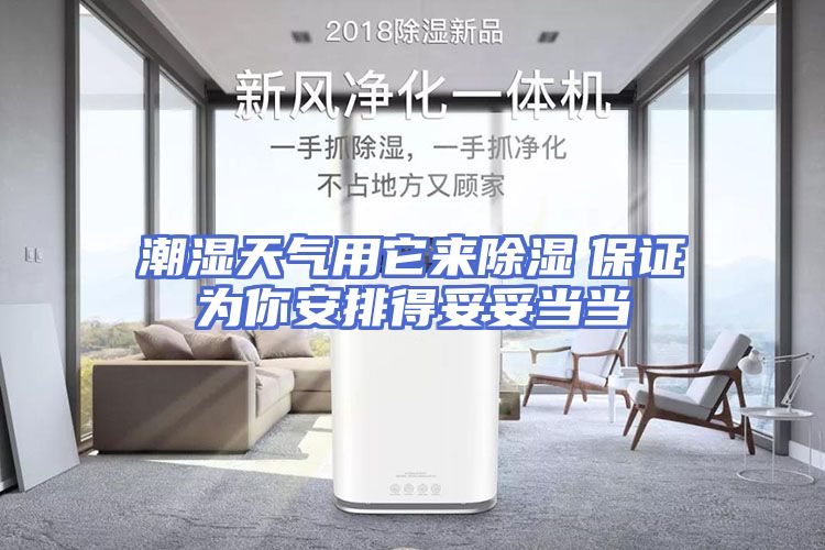 潮湿天气用它来除湿　保证为你安排得妥妥当当