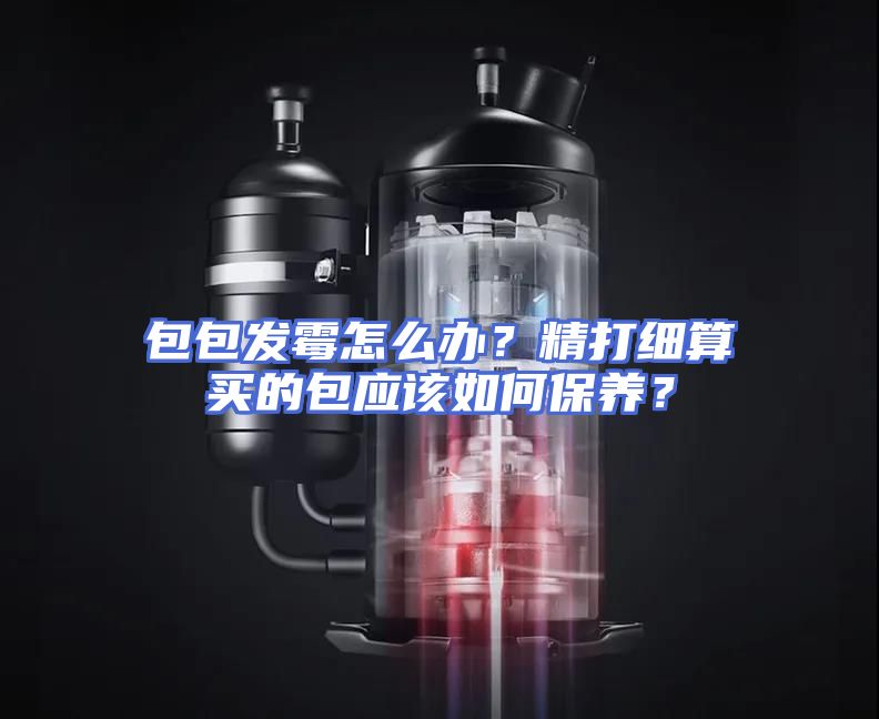 包包发霉怎么办？精打细算买的包应该如何保养？