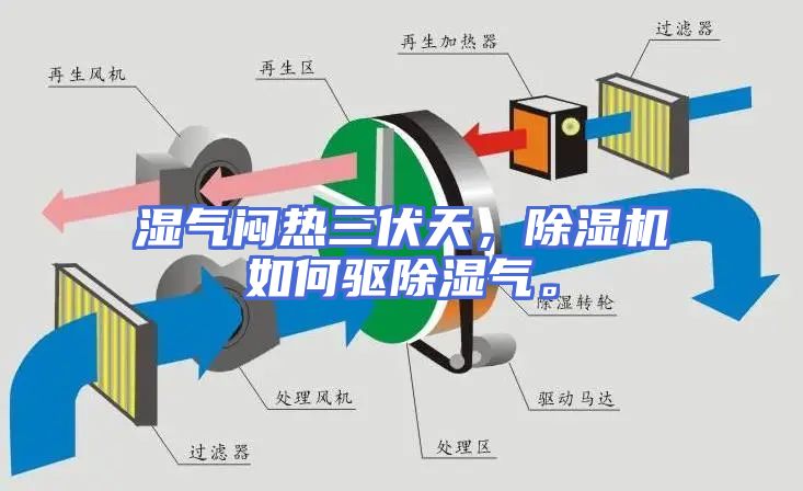 湿气闷热三伏天，除湿机如何驱除湿气。