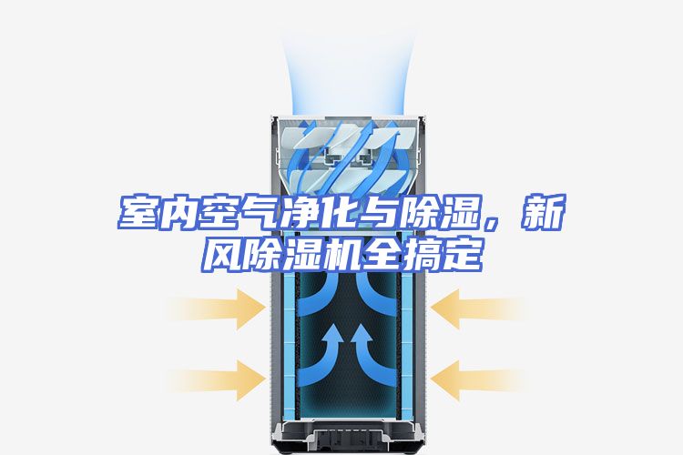 室内空气净化与除湿，新风除湿机全搞定