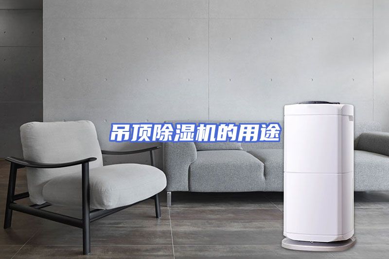 吊顶除湿机的用途