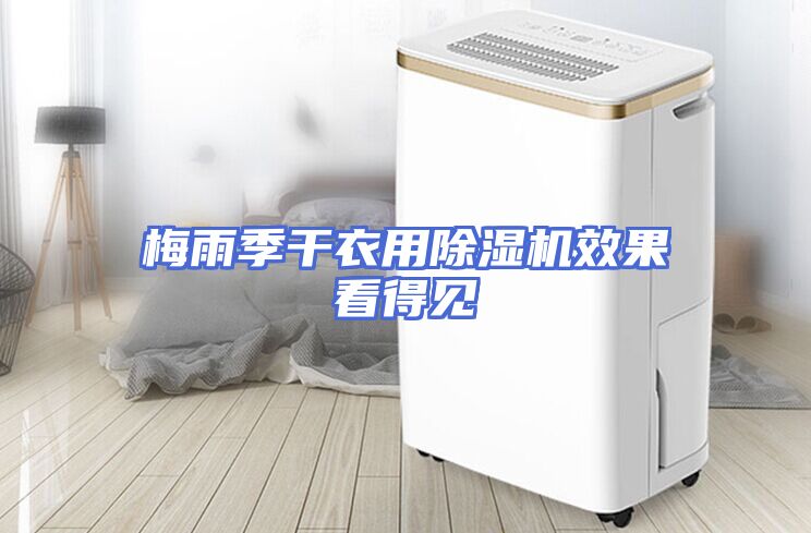 梅雨季干衣用除湿机效果看得见