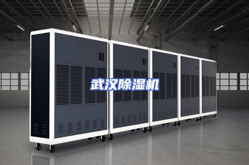 武汉除湿机