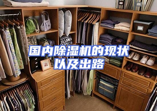 国内除湿机的现状以及出路