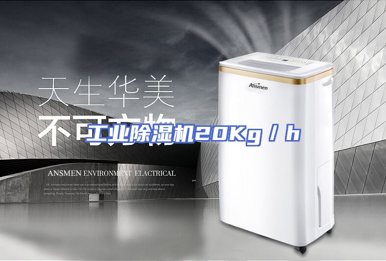 工业除湿机20Kg／h