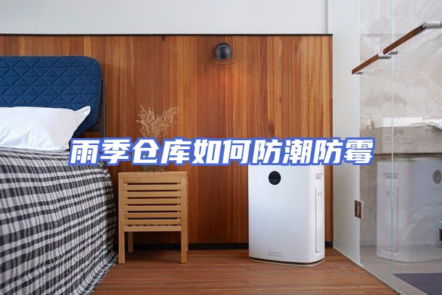 雨季仓库如何防潮防霉
