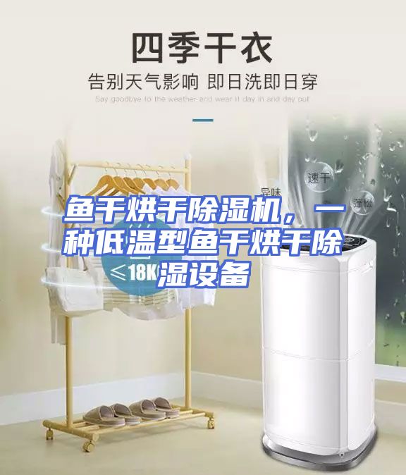 鱼干烘干除湿机，一种低温型鱼干烘干除湿设备