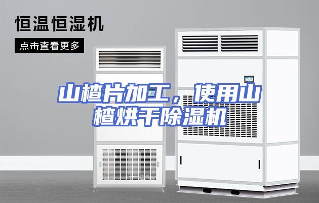 山楂片加工，使用山楂烘干除湿机