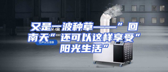 又是一波种草——”回南天”还可以这样享受”阳光生活”