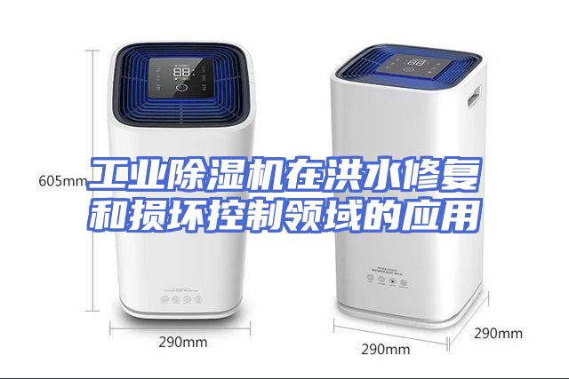 工业除湿机在洪水修复和损坏控制领域的应用