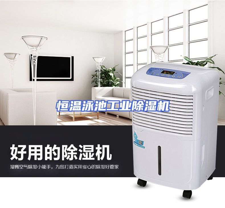 恒温泳池工业除湿机