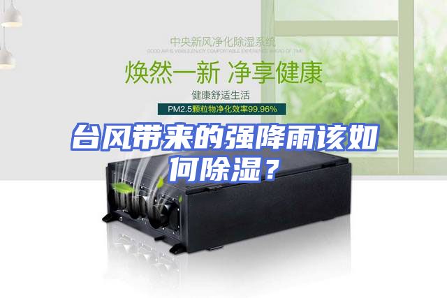 台风带来的强降雨该如何除湿？