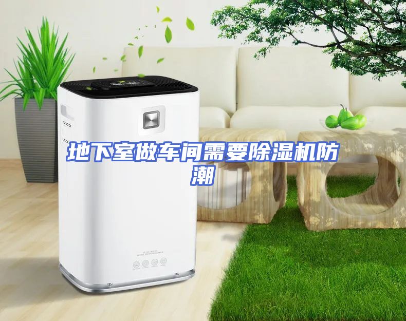 地下室做车间需要除湿机防潮
