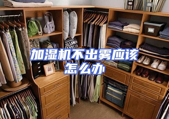 加湿机不出雾应该怎么办