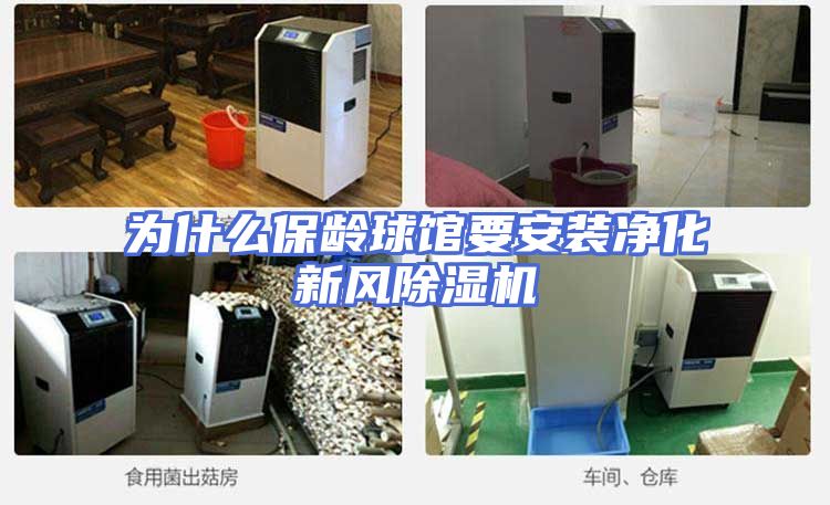 为什么保龄球馆要安装净化新风除湿机