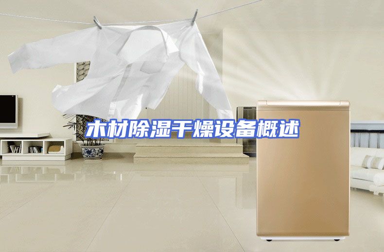 木材除湿干燥设备概述