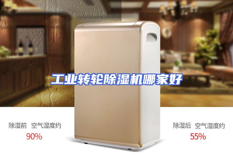 工业转轮除湿机哪家好
