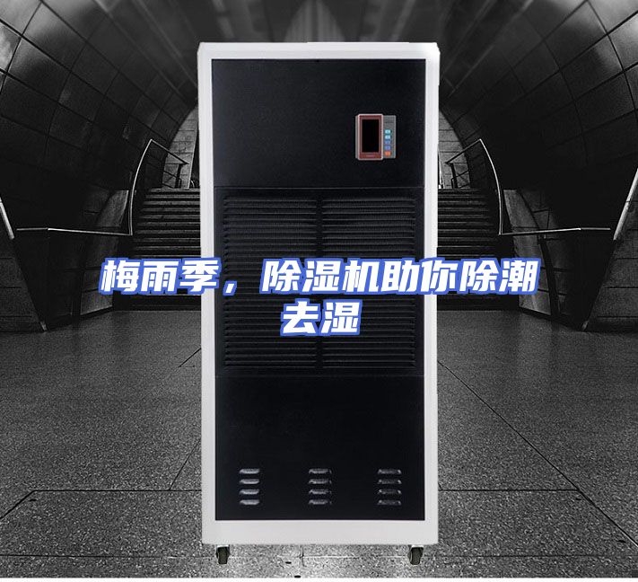 梅雨季,除湿机助你除潮去湿