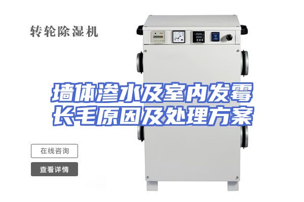 墙体渗水及室内发霉长毛原因及处理方案