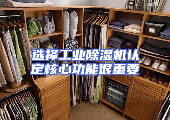 选择工业除湿机认定核心功能很重要