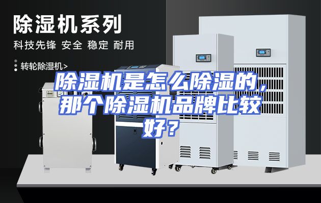 除湿机是怎么除湿的,那个除湿机品牌比较好?