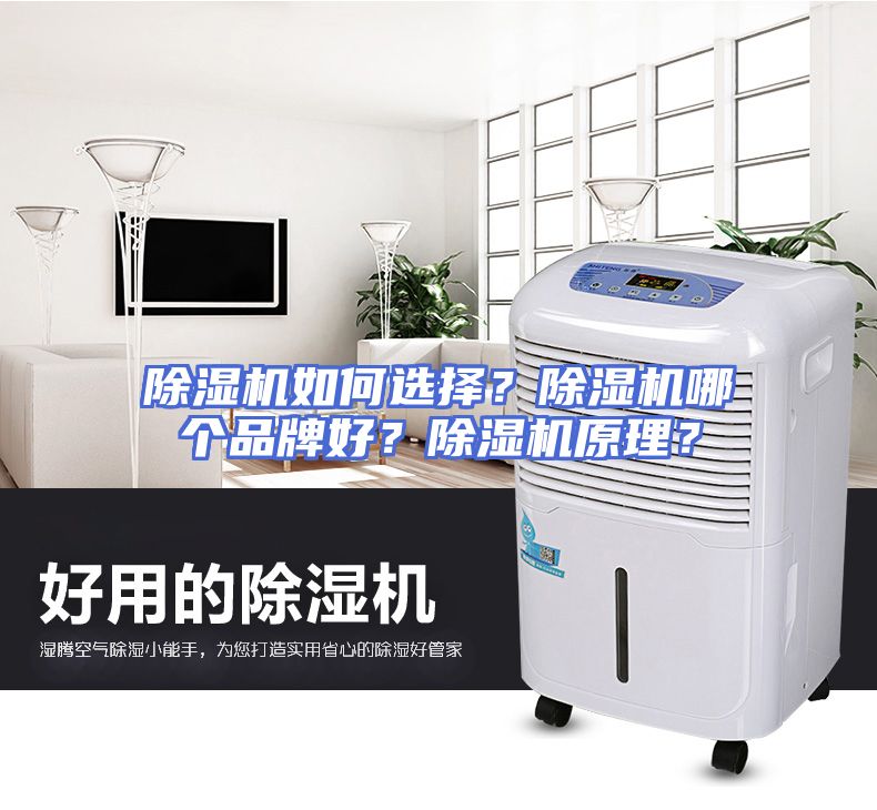 除湿机如何选择?除湿机哪个品牌好?除湿机原理?