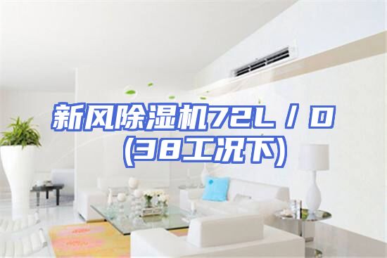 新风除湿机72L／D (38工况下)