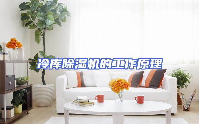 冷库除湿机的工作原理