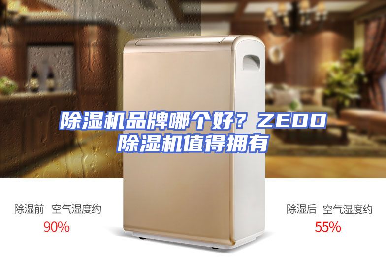 除湿机品牌哪个好?ZEDO除湿机值得拥有