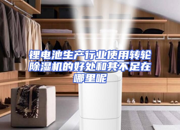 锂电池生产行业使用转轮除湿机的好处和其不足在哪里呢