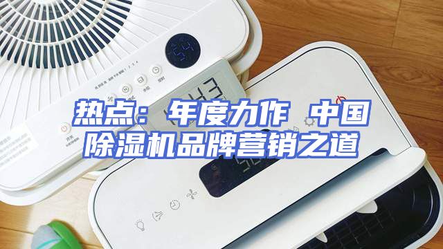 热点：年度力作 中国除湿机品牌营销之道