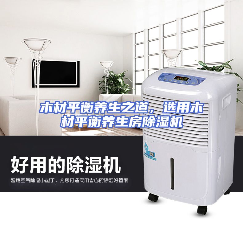 木材平衡养生之道,选用木材平衡养生房除湿机