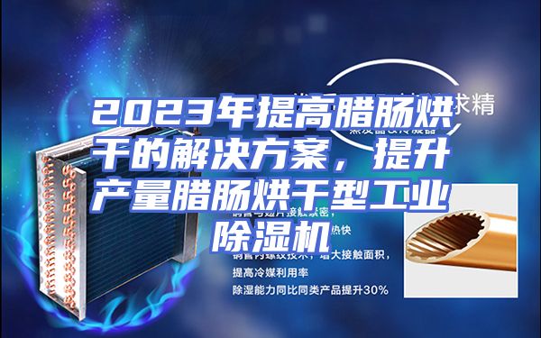2023年提高腊肠烘干的解决方案，提升产量腊肠烘干型工业除湿机