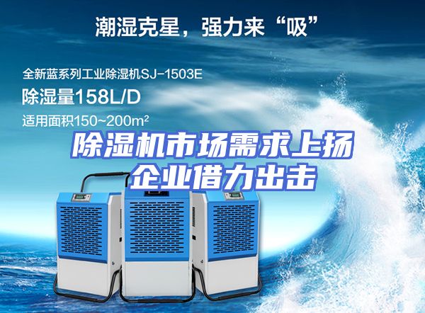 除湿机市场需求上扬 企业借力出击
