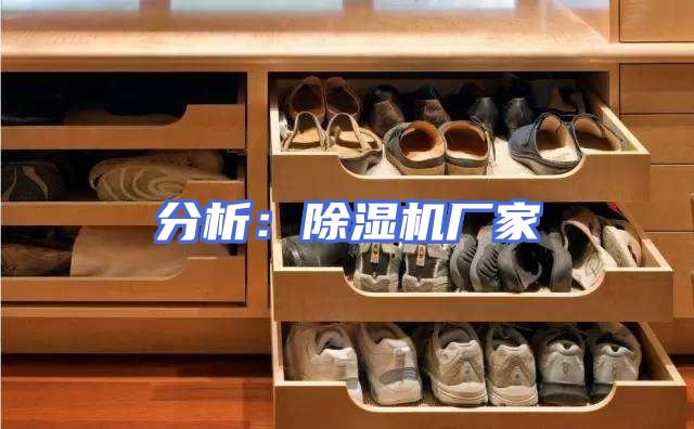 分析：除湿机厂家