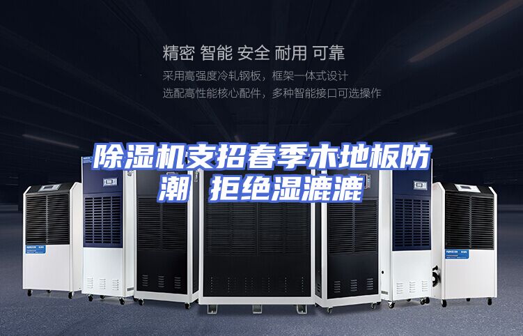 除湿机支招春季木地板防潮 拒绝湿漉漉