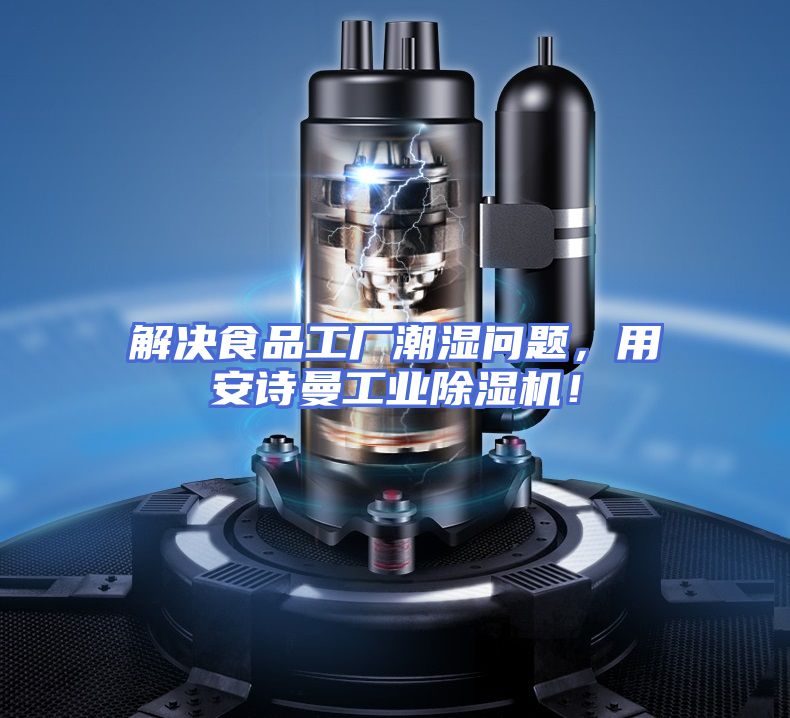 解决食品工厂潮湿问题,用安诗曼工业除湿机!