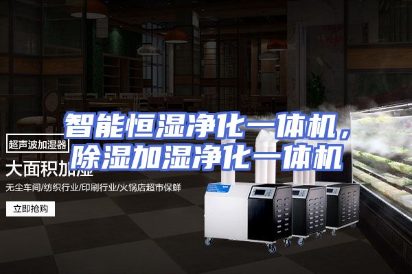 智能恒湿净化一体机，除湿加湿净化一体机