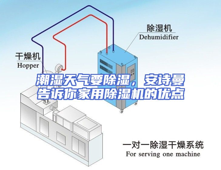 潮湿天气要除湿，安诗曼告诉你家用除湿机的优点
