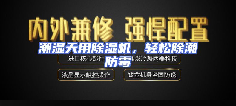 潮湿天用除湿机，轻松除潮防霉