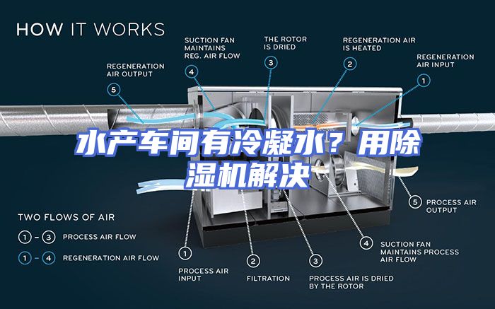 水产车间有冷凝水？用除湿机解决
