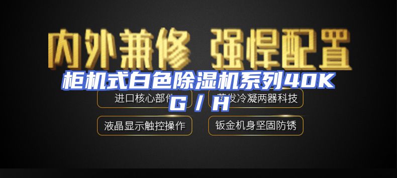 柜机式白色除湿机系列40KG／H