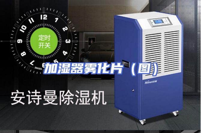 加湿器雾化片(图)