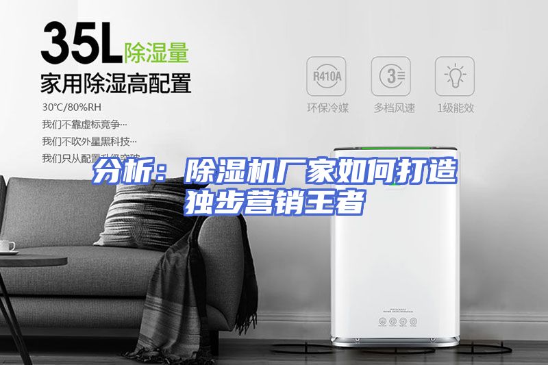 分析：除湿机厂家如何打造独步营销王者