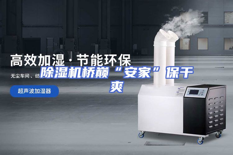 除湿机桥巅“安家”保干爽